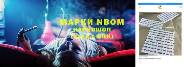 apvp Алексин