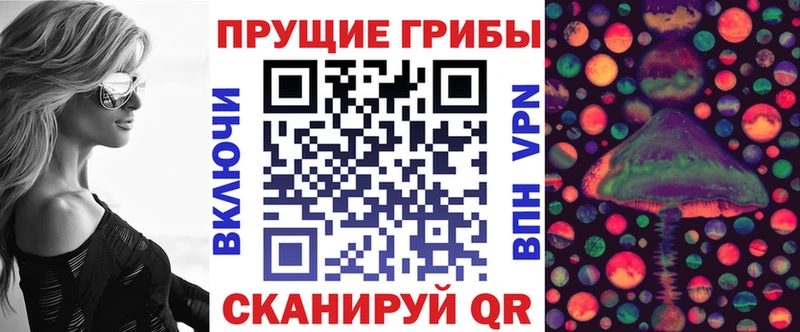 Псилоцибиновые грибы Psilocybe  Боготол 